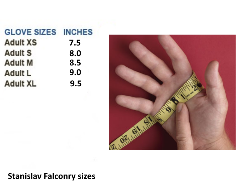 New for falconry glove double leather nubuck lining 30.5cm long 2 layers 